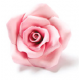 Decora Big pink Sugar Roses, 6 pieces, approx. 4 cm