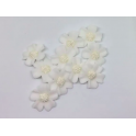 Aneta Dolce - Sugar flower, Forget-me-not,  white, 3 cm, 10 pieces