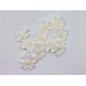 Aneta Dolce - Zuckerblumen Vergissmeinnich, weiss, 3 cm, 10 pièces