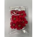 Aneta Dolce - Zuckerblumen Vergissmeinnich, rot/gold, 3 cm, 10 pièces