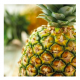 FunCakes Aromastoff Ananas, 120g