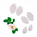 Pastkolor - Veiner en silicone, feuilles de rose.