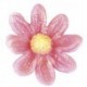 Silikomart - Emporte-pièce et moule en silicone marguerite / daisy